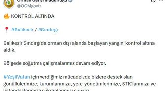 OGM: Sındırgı'daki Orman Yangını Kontrol Altında