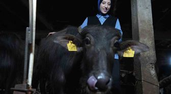 Bayburtlu Kadın Girişimci 'Uzman Eller' ile Manda Çiftliğini Büyüttü