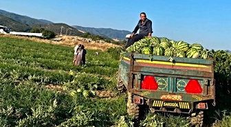 Manisalı çiftçi kavun ve karpuzlarını aracısız satarak bütçesine katkı sağlıyor
