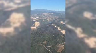 Sındırgı'da Yangın Kontrol Altına Alındı