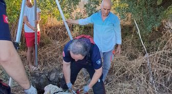 Kuyuya Düşen Koyun İtfaiye Ekiplerince Kurtarıldı