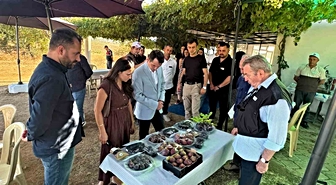 Gördes’te incir üretimi için umut veren çalışma