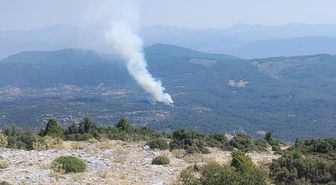 Muğla’da orman yangını