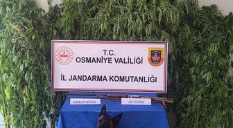 Jandarmadan Osmaniye'de 138 Olayda 128 Gözaltı