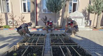 Hatay'da sınırda 2 bin 114 saka kuşu ele geçirildi