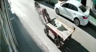 Uzunköprü'de Sürücüsüz At Arabası Park Halindeki Otomobile Çarptı