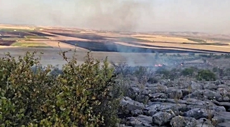 Besni'de Anız Yangını Ormanlık Alana Sıçradı