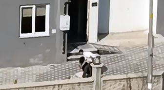 ADANA'da Kadını Tekme Yumruk Döven Şüpheli Adli Kontrolle Serbest