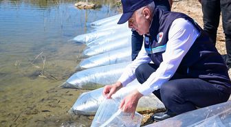 Kırklareli Barajı'na 450 Bin Sazan Yavrusu Salındı