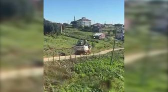 Ordu'da Maden Sondajı Hayvan Ölümlerine Yol Açtı İddiası