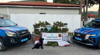 Bafra'da Uyuşturucu Operasyonu: 1 Tutuklama