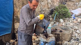 Kaş'ta Geleneksel Sedir Katranı Üretimi: Yılda 300 Litre, Kilosu 1000 TL