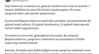 Orman Yangınlarında 46 Şüpheli, 12 Tutuklama