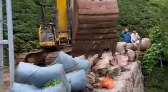 Rize'de Çay Hasadında İş Makineli Pratik Çözüm