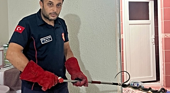 Niksar'da eve giren yılan itfaiye tarafından yakalandı