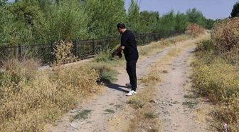 Esnaf, Kaplumbağayı Trafikte Kurtardı