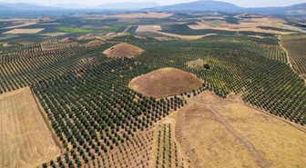 Dünyanın En Büyük Tümülüsü: Anadolu'nun Piramitleri Bintepeler