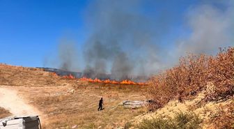 Bozüyük'te Tarım Arazisinde Yangın