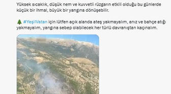 Bursa ve İzmir'deki orman yangınları kontrol altına alındı
