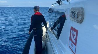 Datça'da Deniz Kaplumbağası Isırdı: 1 Yaralı