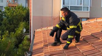 Erzincan'da Çatıda Mahsur Kalan Kedi Kurtarıldı