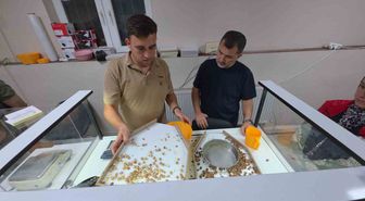 TMO Düzce'de Fındık Alımına Başladı: Kuyruklar Oluştu, Milletvekilleri İlk Gün Alımlarını İnceledi