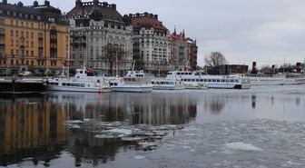 Stockholm'de 50 bin kişi iklim değişikliğiyle mücadele için yürüdü