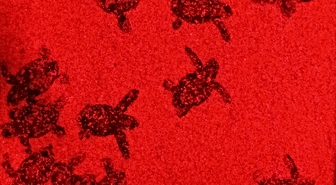 Kuşadası'nda 60 caretta caretta yavrusu denize kavuştu