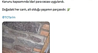 Manisa'da CITES kapsamındaki 61 yaban hayvanı ele geçirildi
