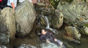 Ordu'da dere kenarında 2 kız kardeşin cansız bedeni bulundu