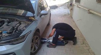 Hatay'da Mahsur Kalan Kediler Kurtarıldı
