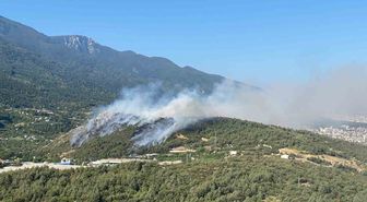 Bursa'da Orman Yangınına Havadan ve Karadan Müdahale