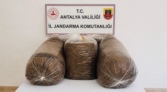 Antalya'da Kaçak Tütün Operasyonu: 365 Kilogram Ele Geçirildi