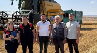Aydıntepe'de Hububat Hasadı Başladı