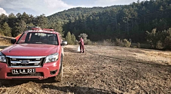 Mudurnu'da anız yangınına köylülerden erken müdahale