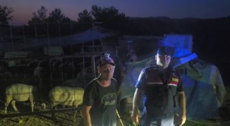 İnegöl'de Kaybolan 50 Küçükbaş Hayvan Jandarma Dronuyla Bulundu