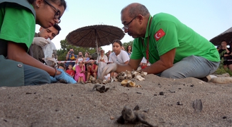 Çıralı'da caretta caretta yuva sayısı 120'ye ulaştı: 2 bin 758 yavru denizle buluştu