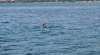 Elazığ'dan Malatya'ya 3 bin 300 metre yüzerek geçti