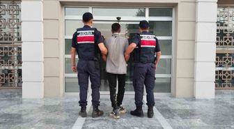 Germencik'te İncir Hırsızı Suçüstü Yakalandı