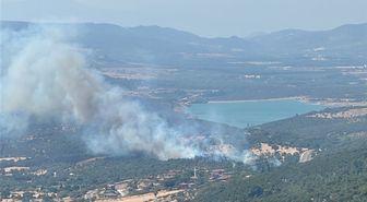 Ayvacık'ta zirai yangın kontrol altında