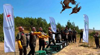 Nemrut Kalderası'nda Yırtıcı Kuşlar Doğaya Salındı