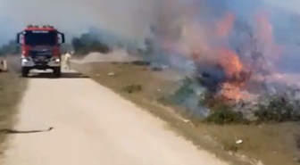 Eflani Orman Yangını Kontrol Altına Alındı
