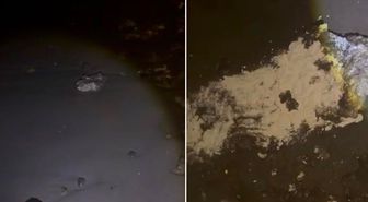 Sahile vuran çuvallar panik yarattı! Ekipler ne olduğunu anlayamadı