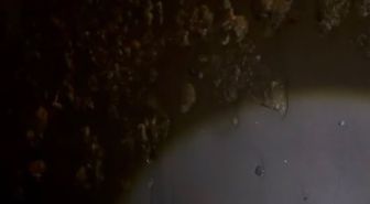 Sahile Vuran Çuvallar Amonyum Nitrat Çıktı - haberler.com