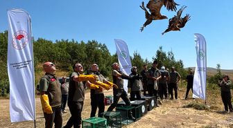 Tedavisi Tamamlanan Yaban Kuşları Nemrut'ta Doğaya Salındı