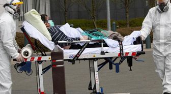 Belçika'da salmonella alarmı: Yüzlerce kişi hastanelik oldu