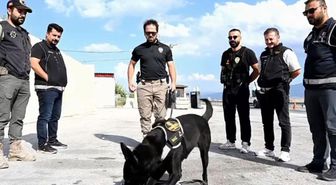 Narkotik köpek Naz emekli oldu: Duygusal veda