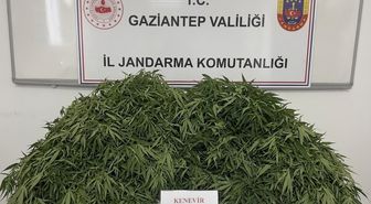 Gaziantep'te Uyuşturucu Operasyonu: 9 Gözaltı