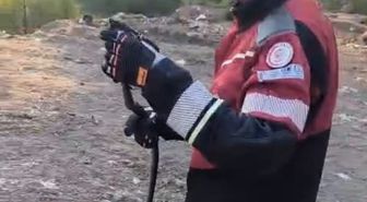 Hatay'da Yerleşim Yerlerinde Görülen Yılanlar Doğal Yaşam Alanlarına Bırakıldı
