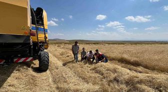 Kars'ta Biçerdöver Denetimleriyle Verimli Hasat Hedefleniyor
